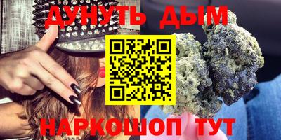 шишки Будённовск