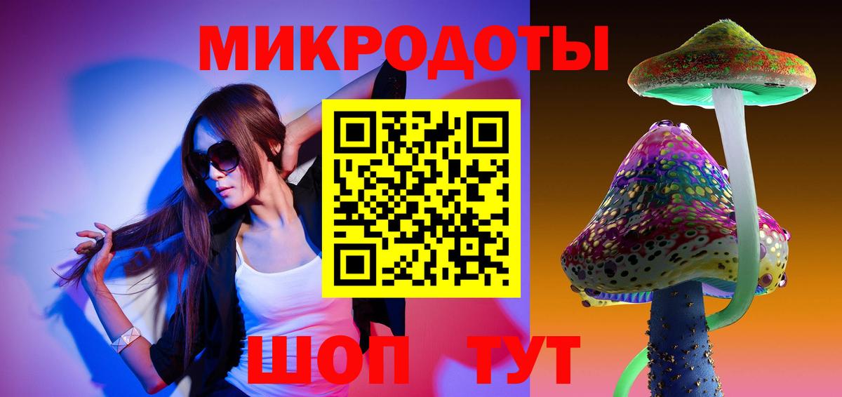 Галлюциногенные грибы Psilocybine cubensis Махачкала
