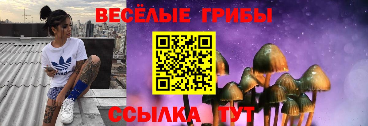 где найти   Вход с VPN  Махачкала  Галлюциногенные грибы ЛСД 